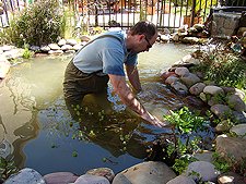 cleaning pond