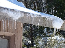 icicles