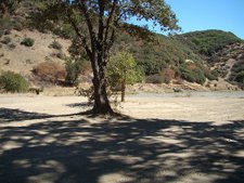 Cow Mountain Recreation Area