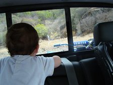 Ryder watching daddy.