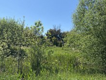 Roseland Creek Trail