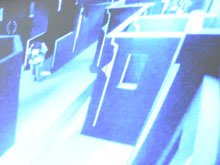 Laser Tag of Santa Rosa