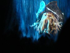 Inside Pirates of the Carribean