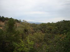 view from our site
