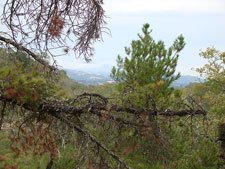view from our site
