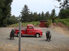 Leonhardt Vineyards truck