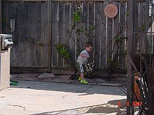 Hunter looking for eggs.