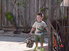 Hunter looking for eggs.