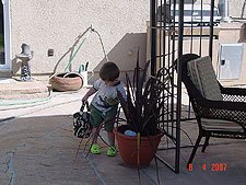 Hunter looking for eggs.