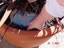 Hunter finds another one.