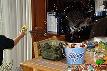 Hunter blowing bubbles