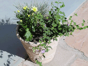 Who would know this was a cover for a bracket!