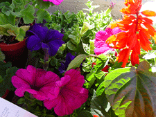 Ready for some Spring planting!