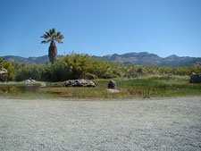 another pretty view