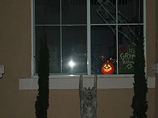 Gryphon at front window.