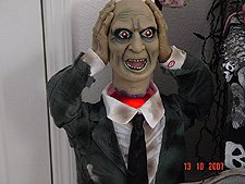 Heads-up Harry