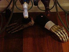 Halloween Decorations