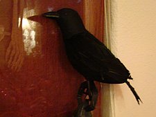 Halloween Decorations