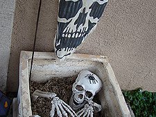 Some of the outdoor decorations.