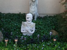 Halloween decorations