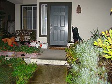 Hunter trick-or-treating.