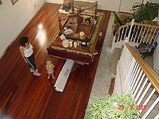 Heidi and Hunter check out the new work -- not knowing that Allie and Lily are trying to tear open the new bag of cat food...