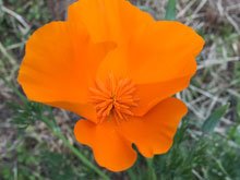 Hood Mountain Regional Park