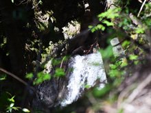 Hood Mountain Regional Park