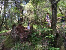 Hood Mountain Regional Park