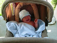 Hunter's first time in the stroller!