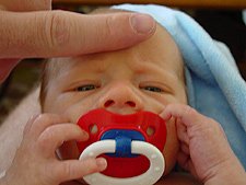 Tiny head next to Dave's finger.