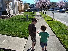 Hunter concerned about Ryder's scratched hand as they walk home