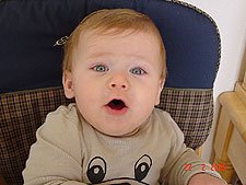 Where's my breakfast?!