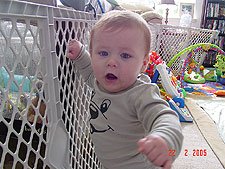 Standing along the fence.