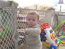 Standing along the fence.