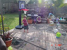 Hunter playing in the yard.