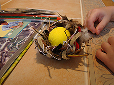 Hunter's nest