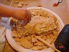 Digging out the bones...