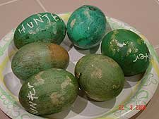 Hunter's eggs