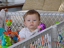 Hunter sitting in his saucer.