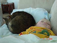 Hunter and Allie take a nap.