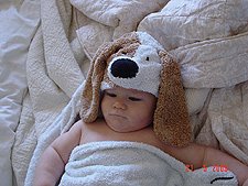 Hunter after his bath.