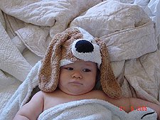 Hunter after his bath.