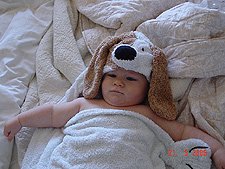 Hunter after his bath.