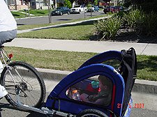 Hunter in the bike cart.