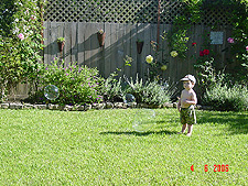 Hunter likes the big bubbles...