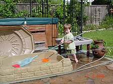 Hunter skimming for toys...