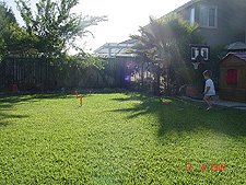 Hunter playing outside