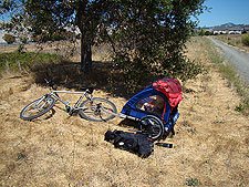 Hunter in the bike cart