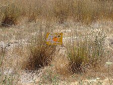 Sign Hunter was shooting at.